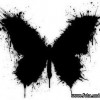 fullmetall_Ksana